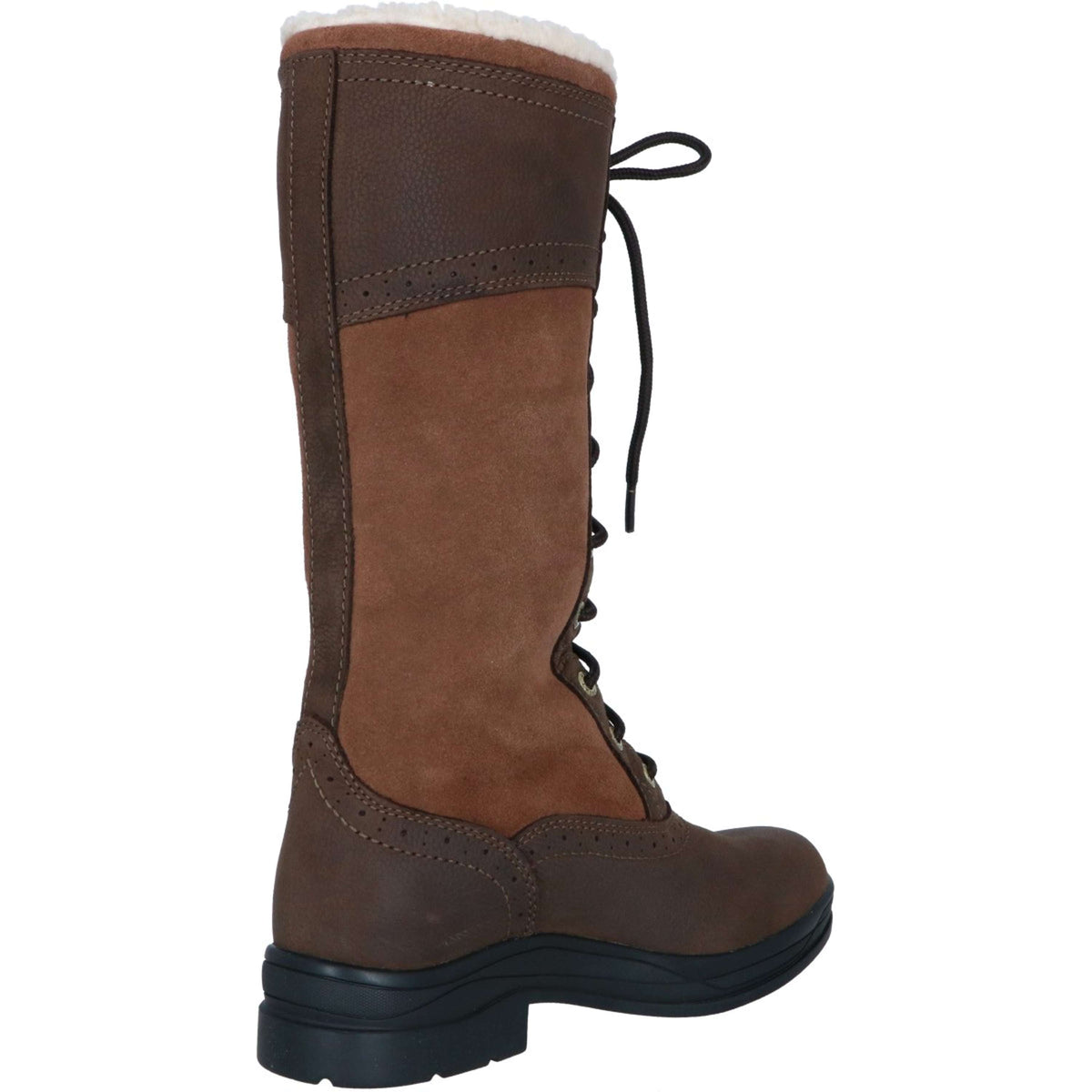 Ariat Botte d'Extérieur Whythburn H2O Mid Java