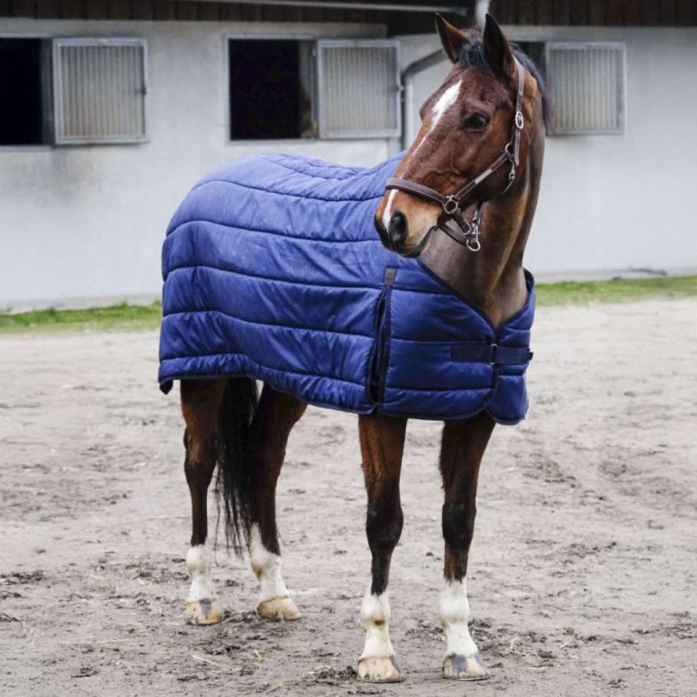 EQUITHÈME Sous-Couverture Classic 200g Marin