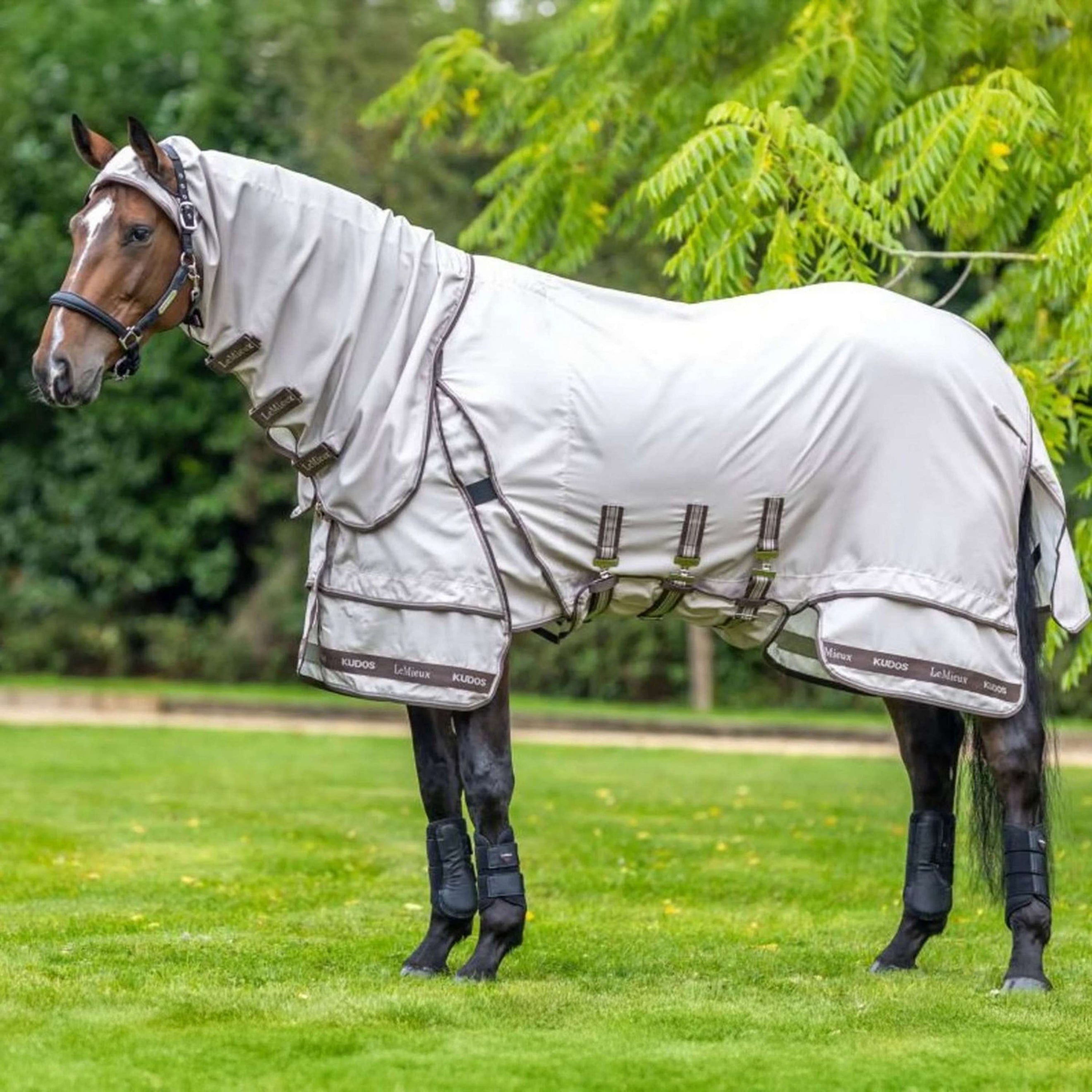 LeMieux Couverture Anti-Eczema Kudos Sweet Itch Pierre
