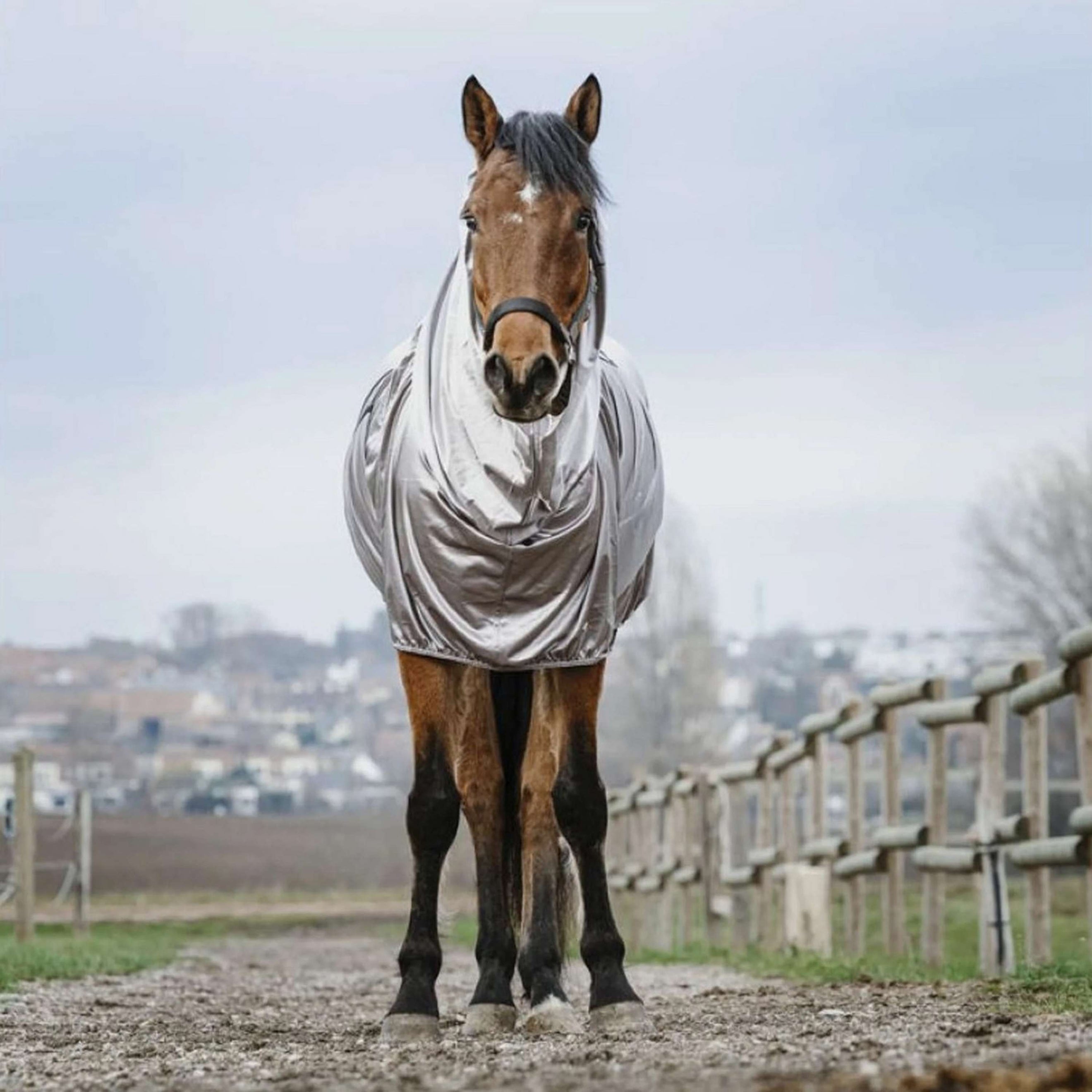Riding World Couverture Anti-Eczema Gris