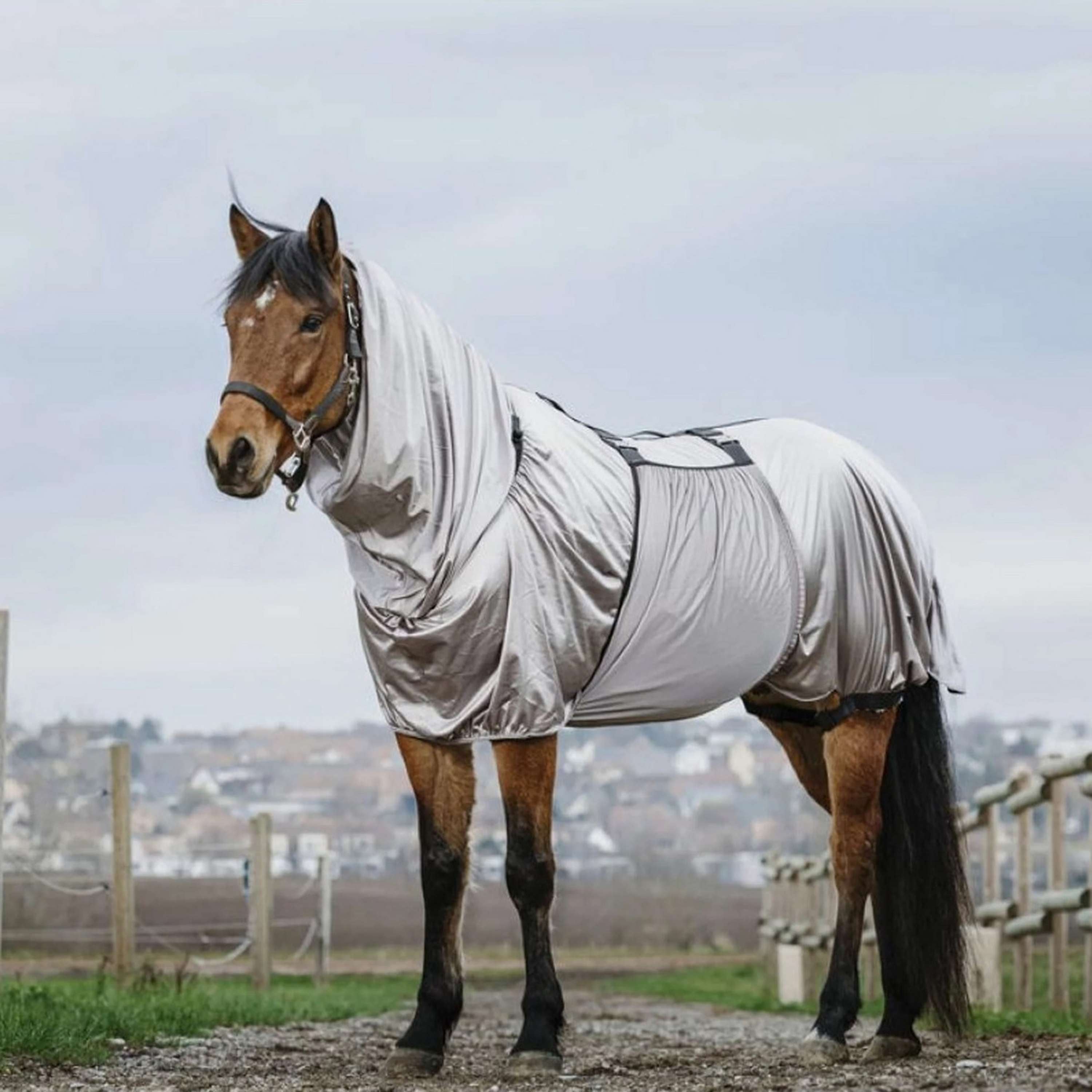 QHP Coperta Anti-Eczema e Antimosche Collo Grande per Cavalli QHP Coperta Anti-Eczema e Antimosche Collo Grande per Cavalli
