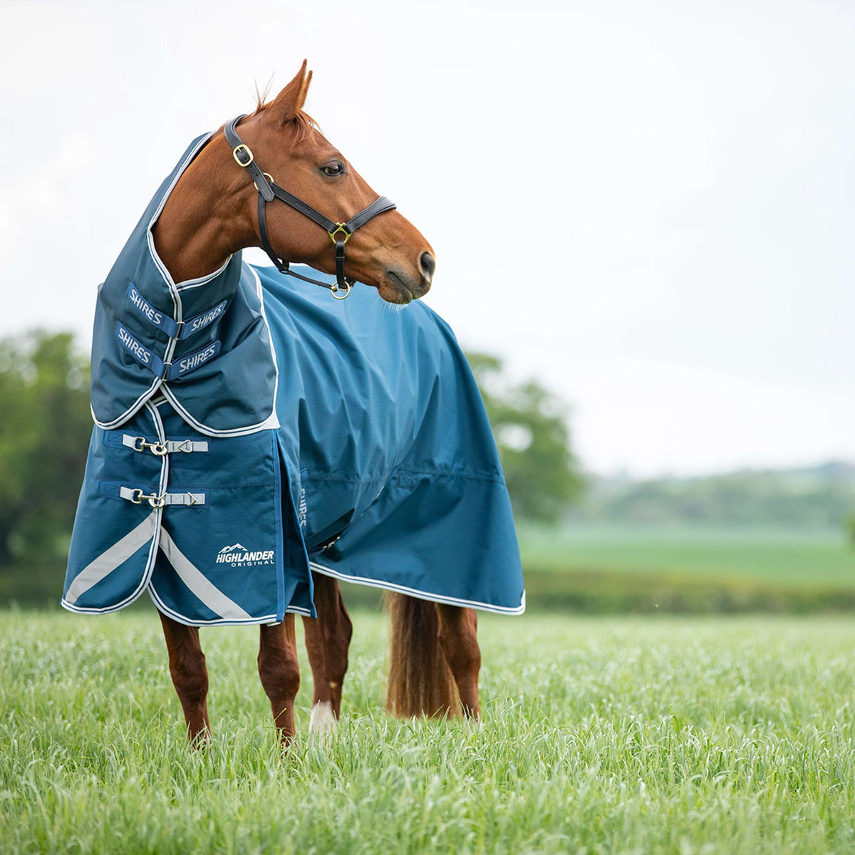 Shires Couverture Imperméable Original 50 Turnout avec Couvre-cou