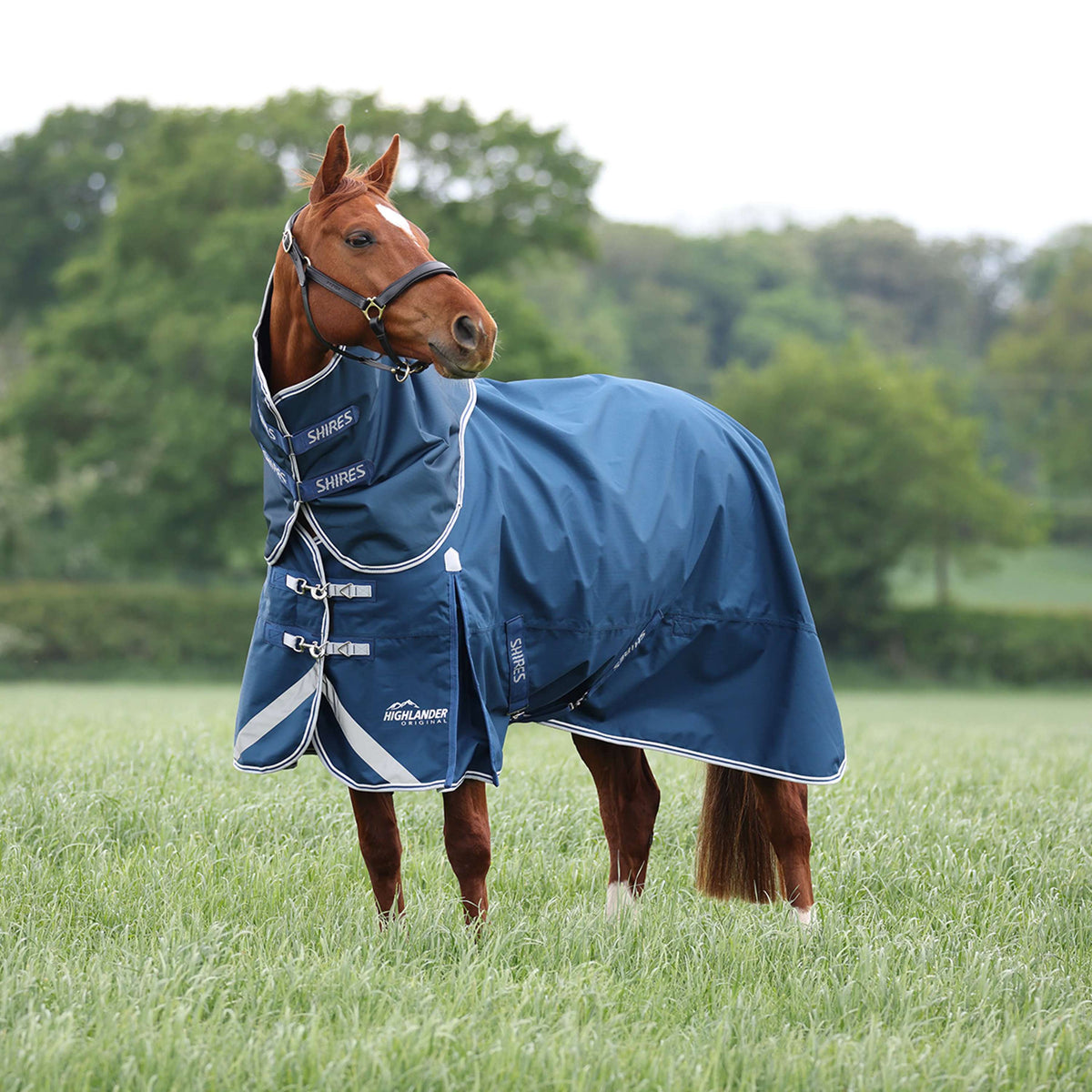 Shires Couverture Imperméable Original 50 Turnout avec Couvre-cou
