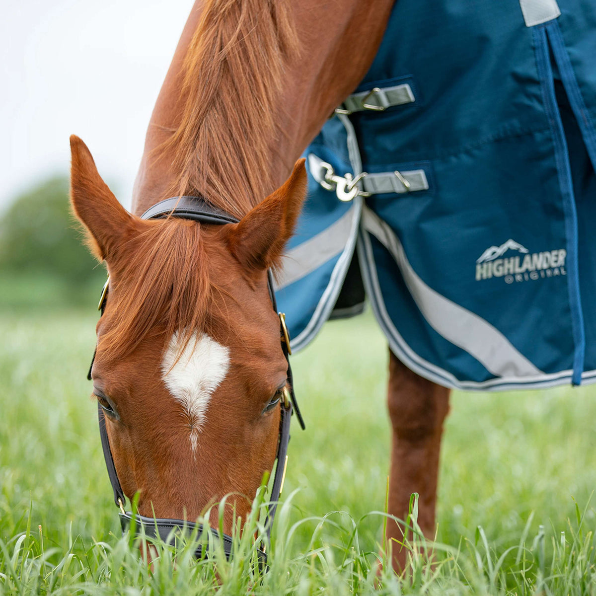 Shires Couverture Imperméable Original 50 Turnout avec Couvre-cou