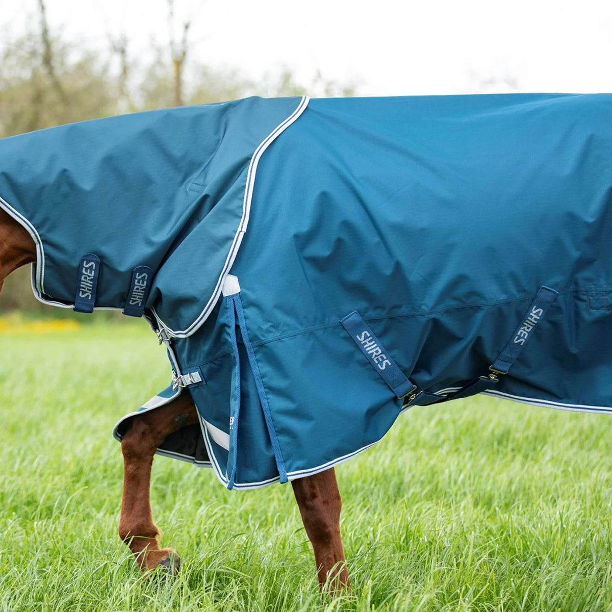 Shires Couverture Imperméable Original 50 Turnout avec Couvre-cou
