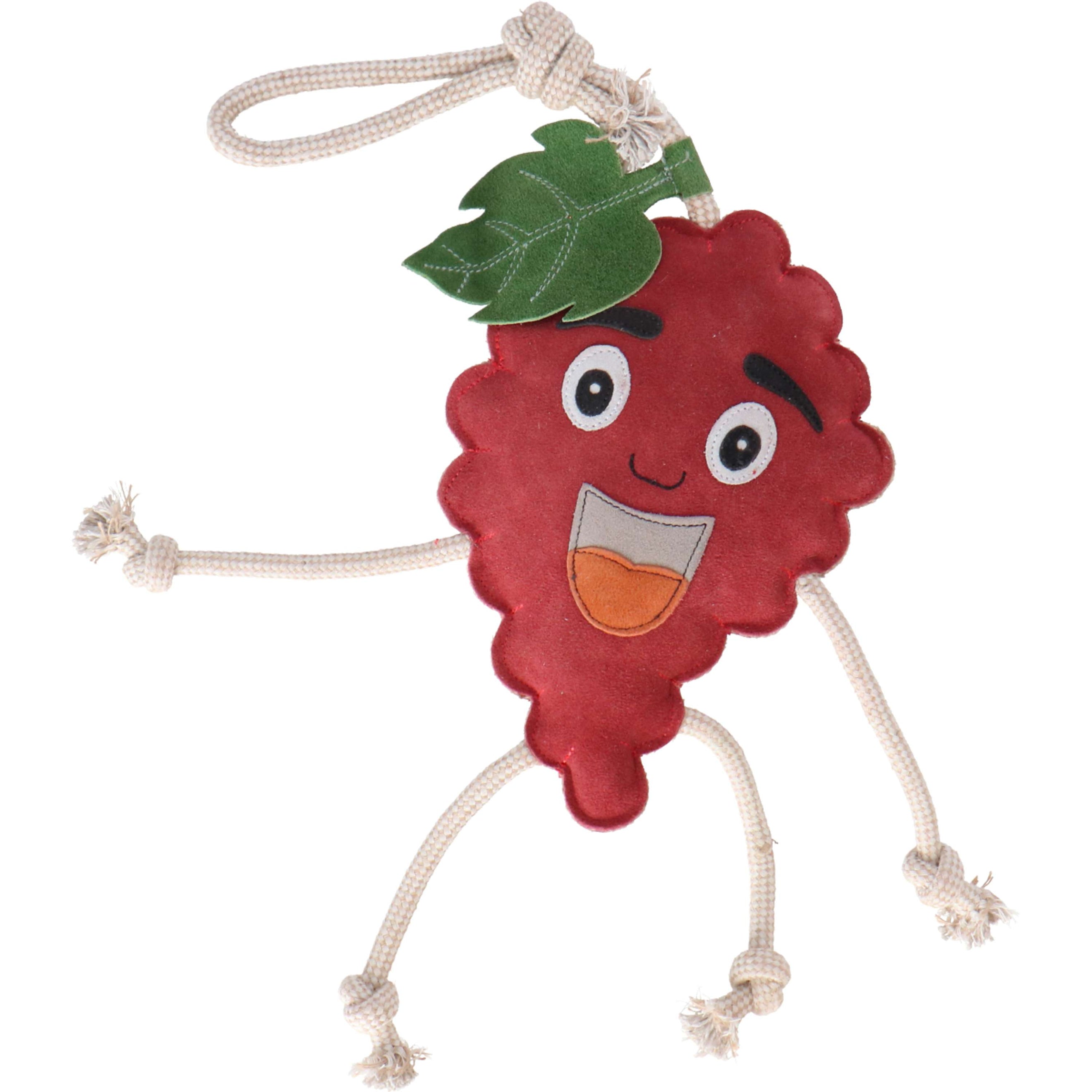 Excellent Horse Foodie Friends Framboise