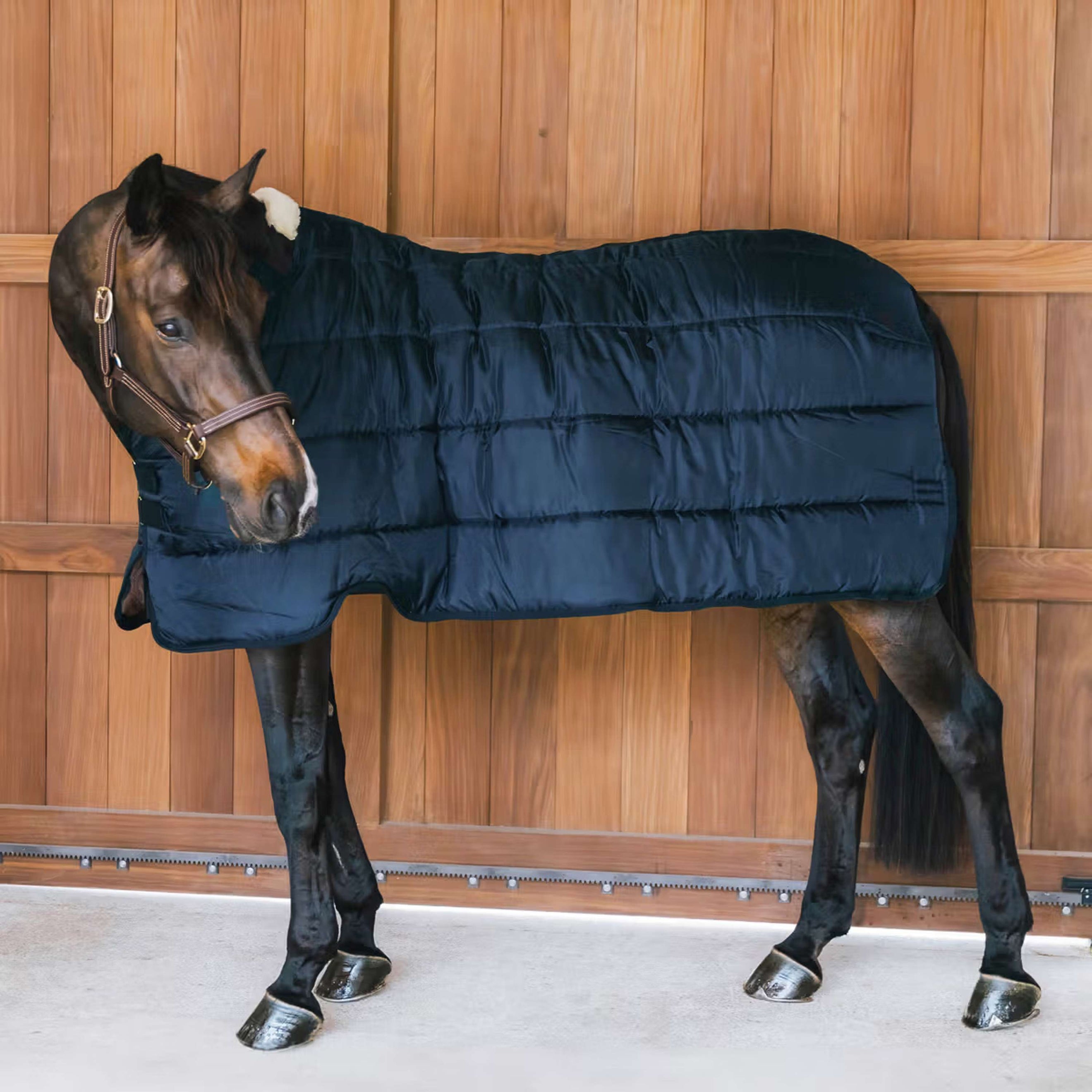 Kentucky Turnout Rug Comfort Liner Pro 200g Marin