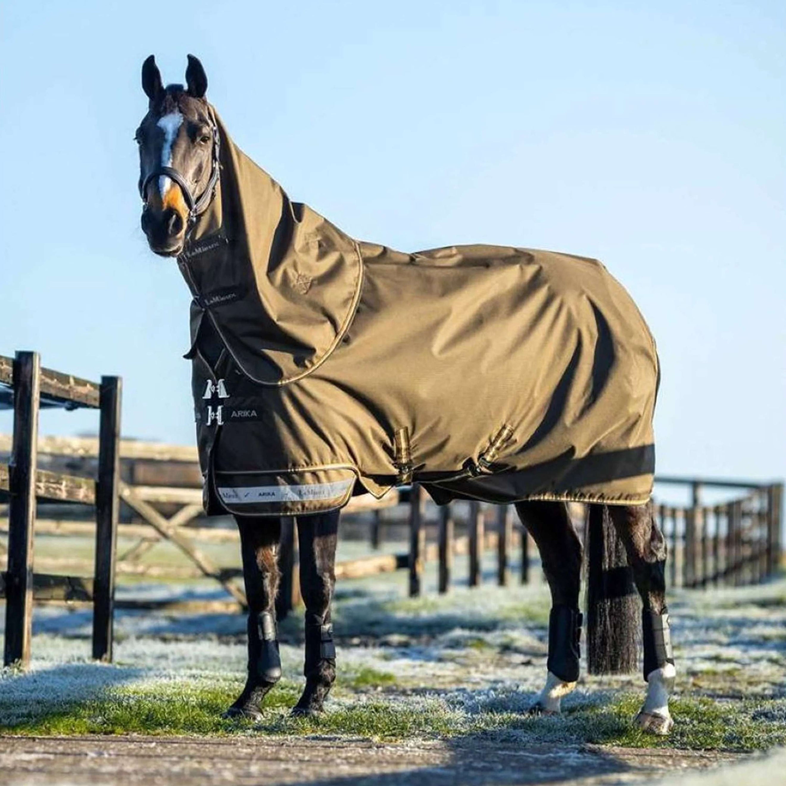 LeMieux Couvertures d'Extérieur Arika 600D 100g Alpine LeMieux Couvertures d'Extérieur Arika 600D 100g Alpine