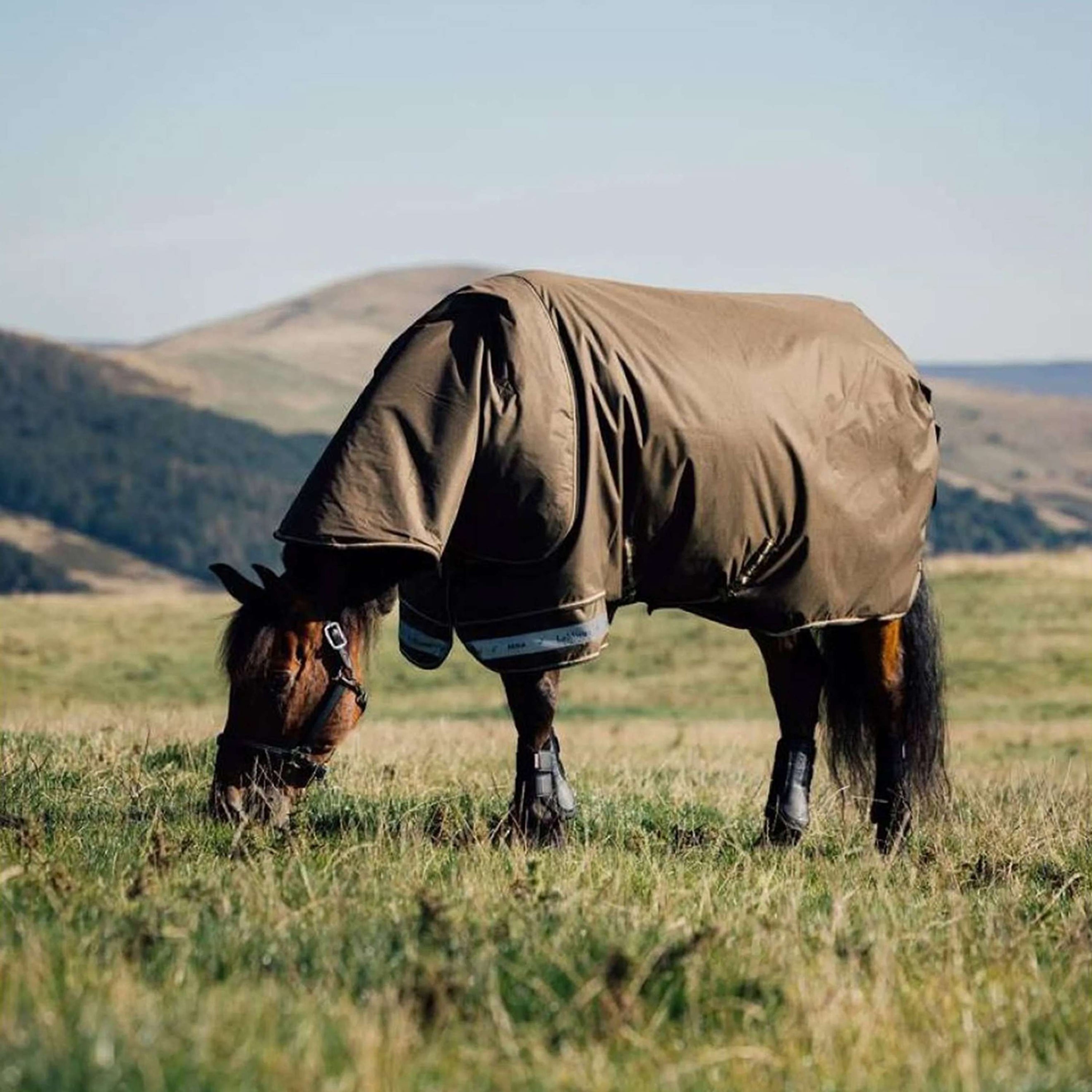 LeMieux Couvertures d'Extérieur Arika 600D 50g Alpine LeMieux Couvertures d'Extérieur Arika 600D 50g Alpine