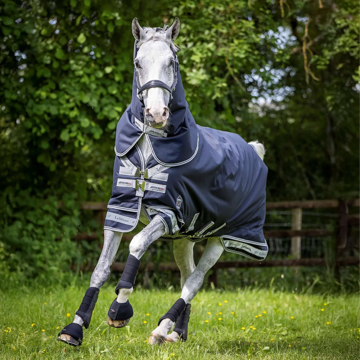 LeMieux Couverture Arika Storm-Tek Turnout 350g 2.0 Marin