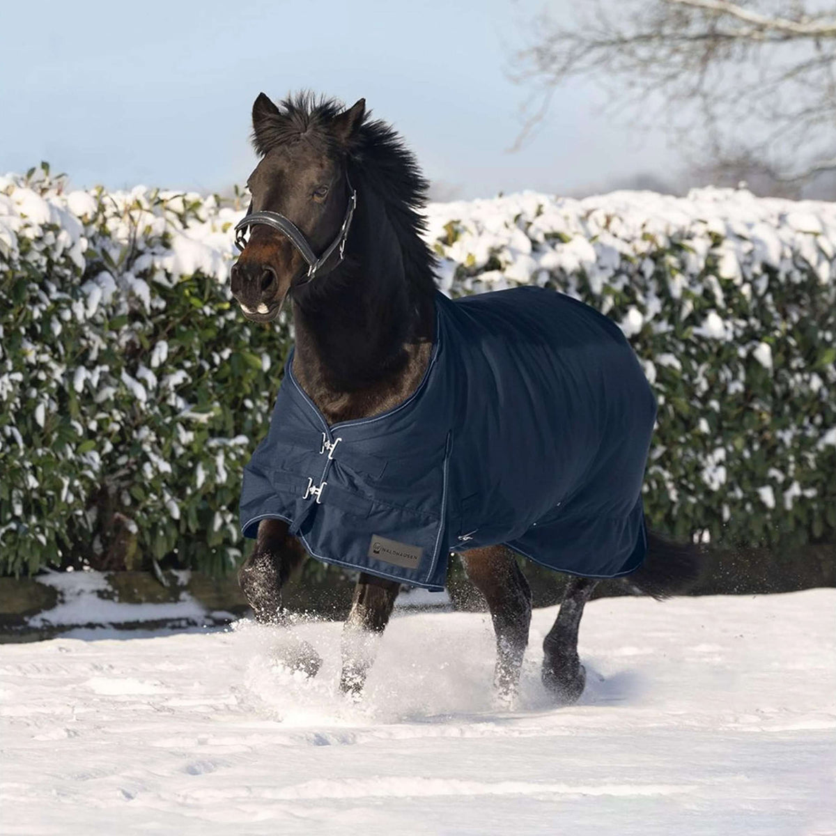 Waldhausen Couverture d'Extérieur Nordic 300g Bleu Nuit
