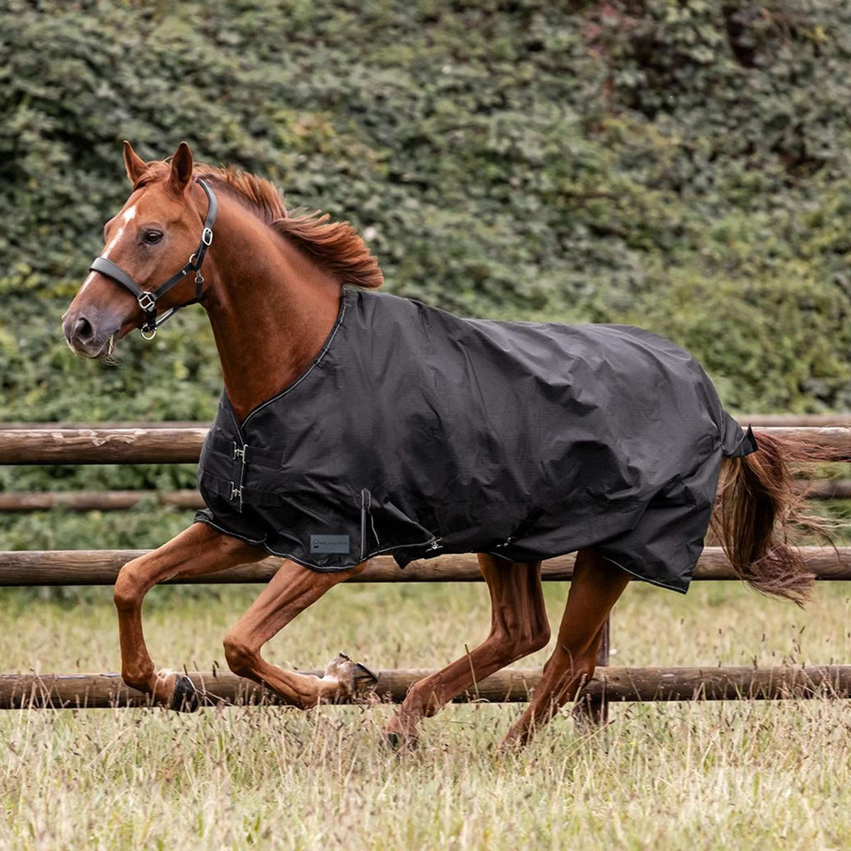 Waldhausen Couverture d'Extérieur Nordic 100g Noir