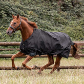 Waldhausen Couverture d'Extérieur Nordic 100g Noir