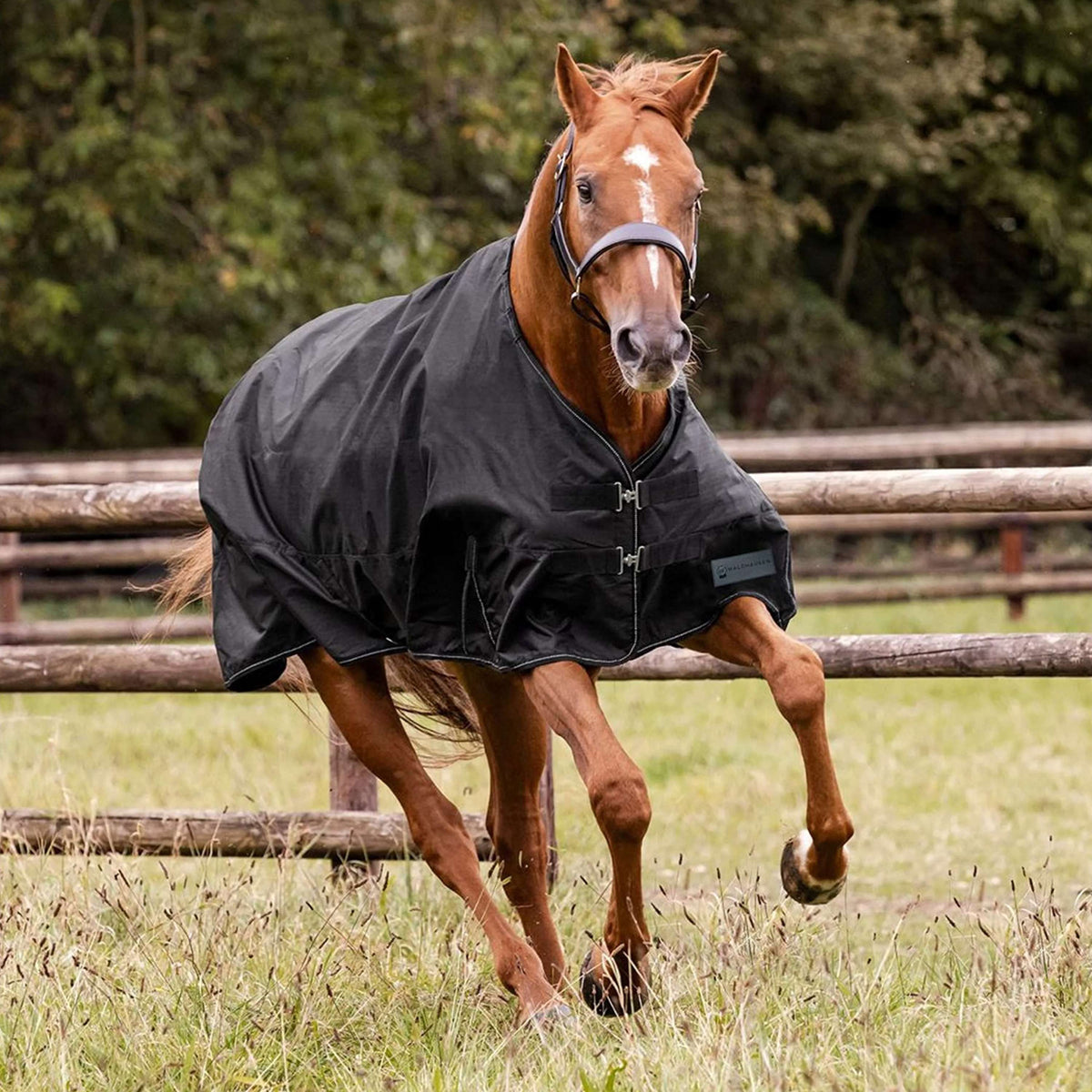 Waldhausen Couverture d'Extérieur Nordic 100g Noir