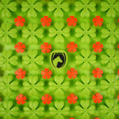 Excellent Tapis de Fouille Horse