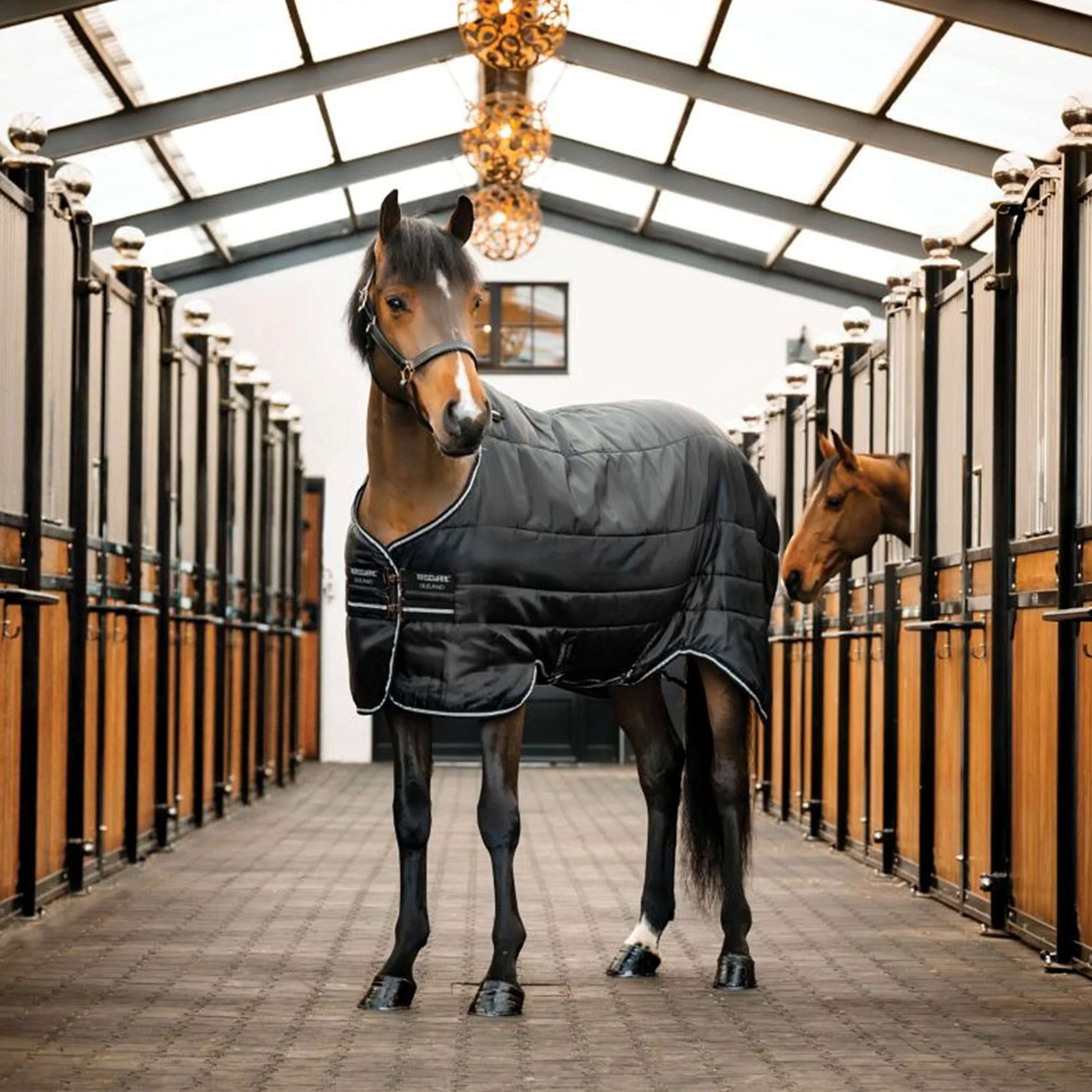 Horseware Easy-Layer Stable 100g Noir/Noir