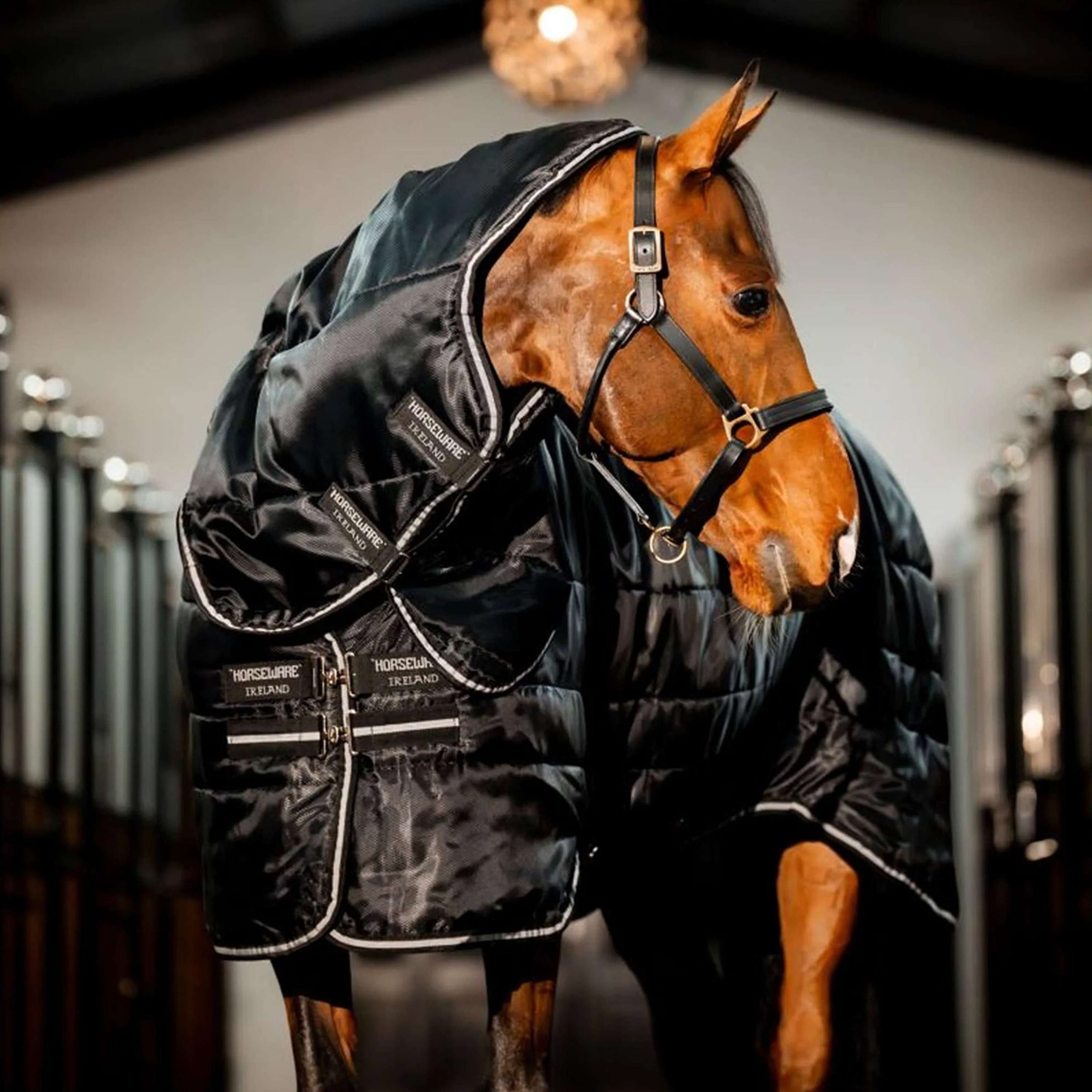 Horseware Easy-Layer Stable Plus Heavy 400g Noir/Noir Horseware Easy-Layer Stable Plus Heavy 400g Noir/Noir