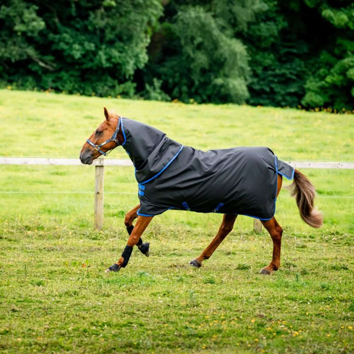 Amigo Ripstop 900D Plus 0g Noir/Bleu