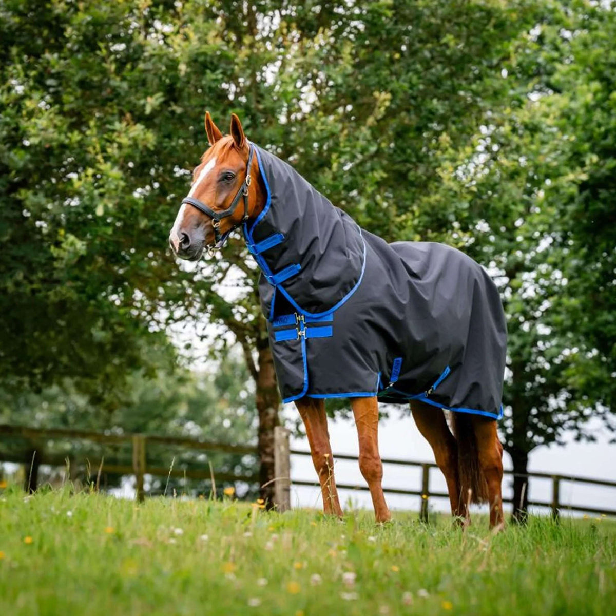 Amigo Ripstop 900D Plus 0g Noir/Bleu