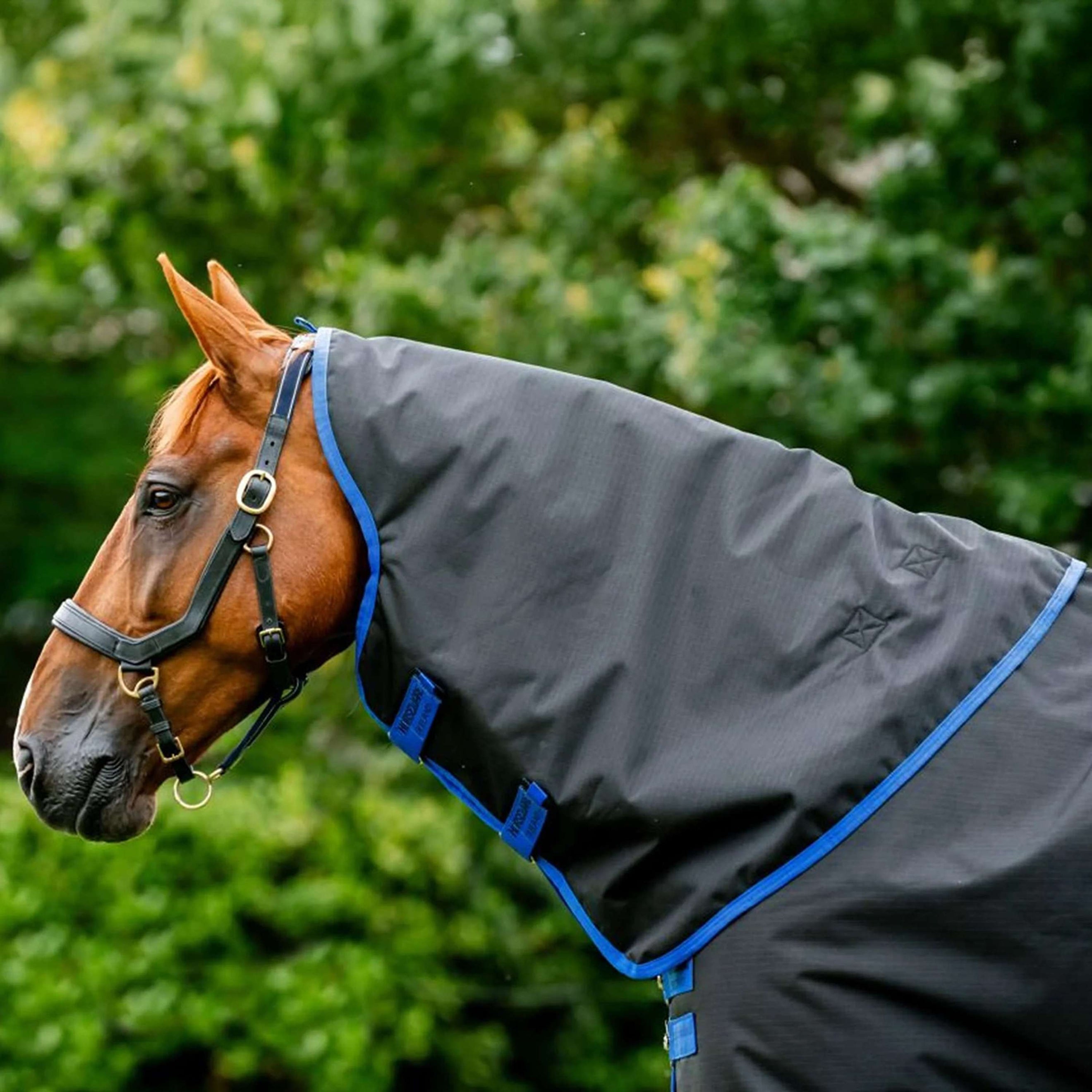 Amigo Ripstop 900 Couvre-Cou 0g Noir/Bleu Amigo Ripstop 900 Couvre-Cou 0g Noir/Bleu