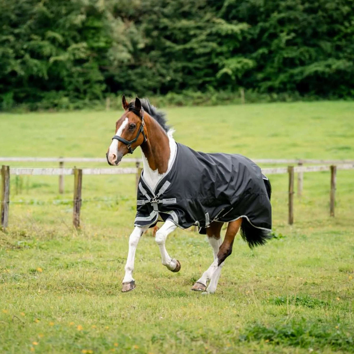 Amigo Couverture Turnout Bravo 100g Black/Titanium Grey
