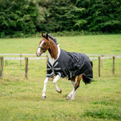 Amigo Couverture Turnout Bravo 100g Black/Titanium Grey