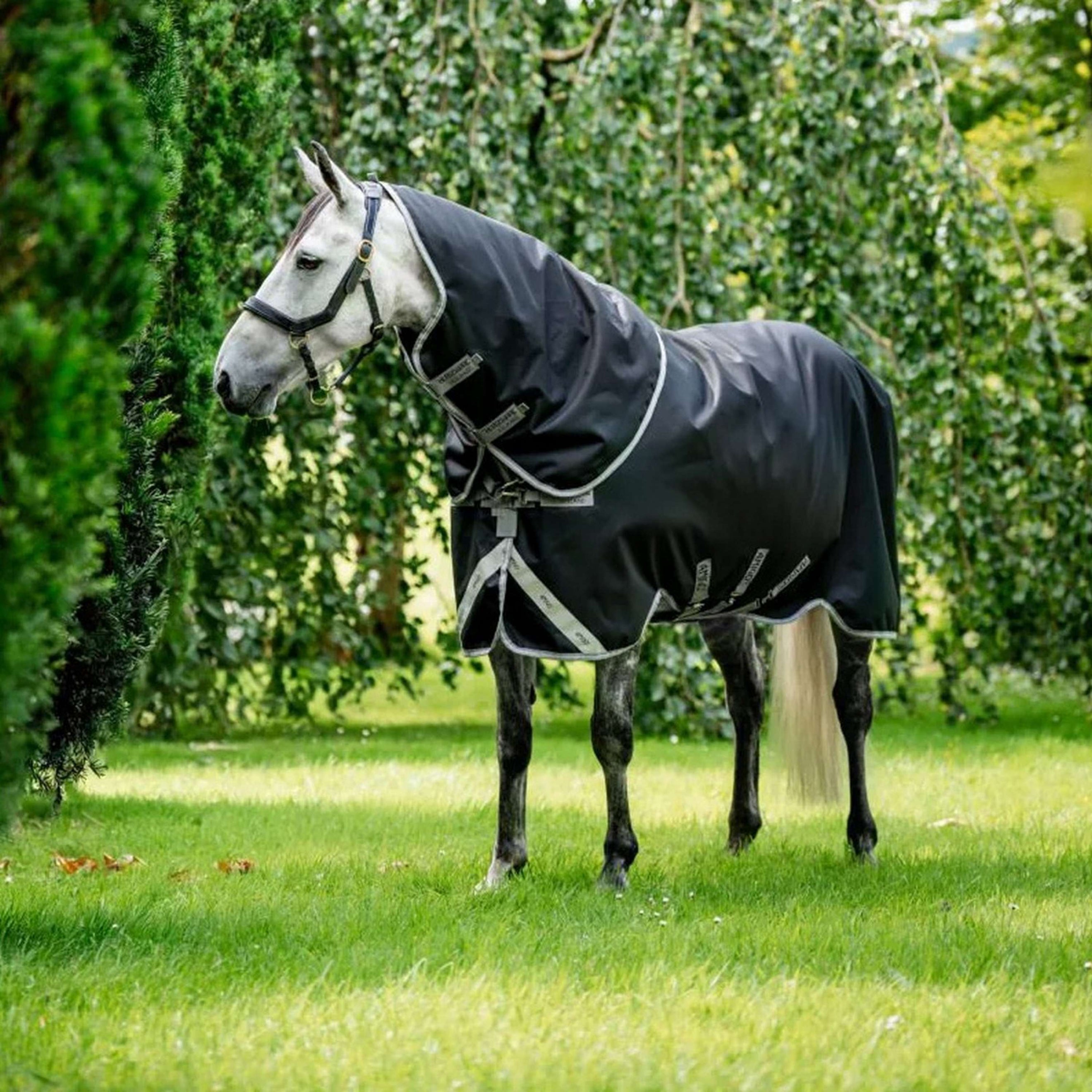 Amigo Bravo 12 Plus T/O Medium 250g Black/Titanium Grey