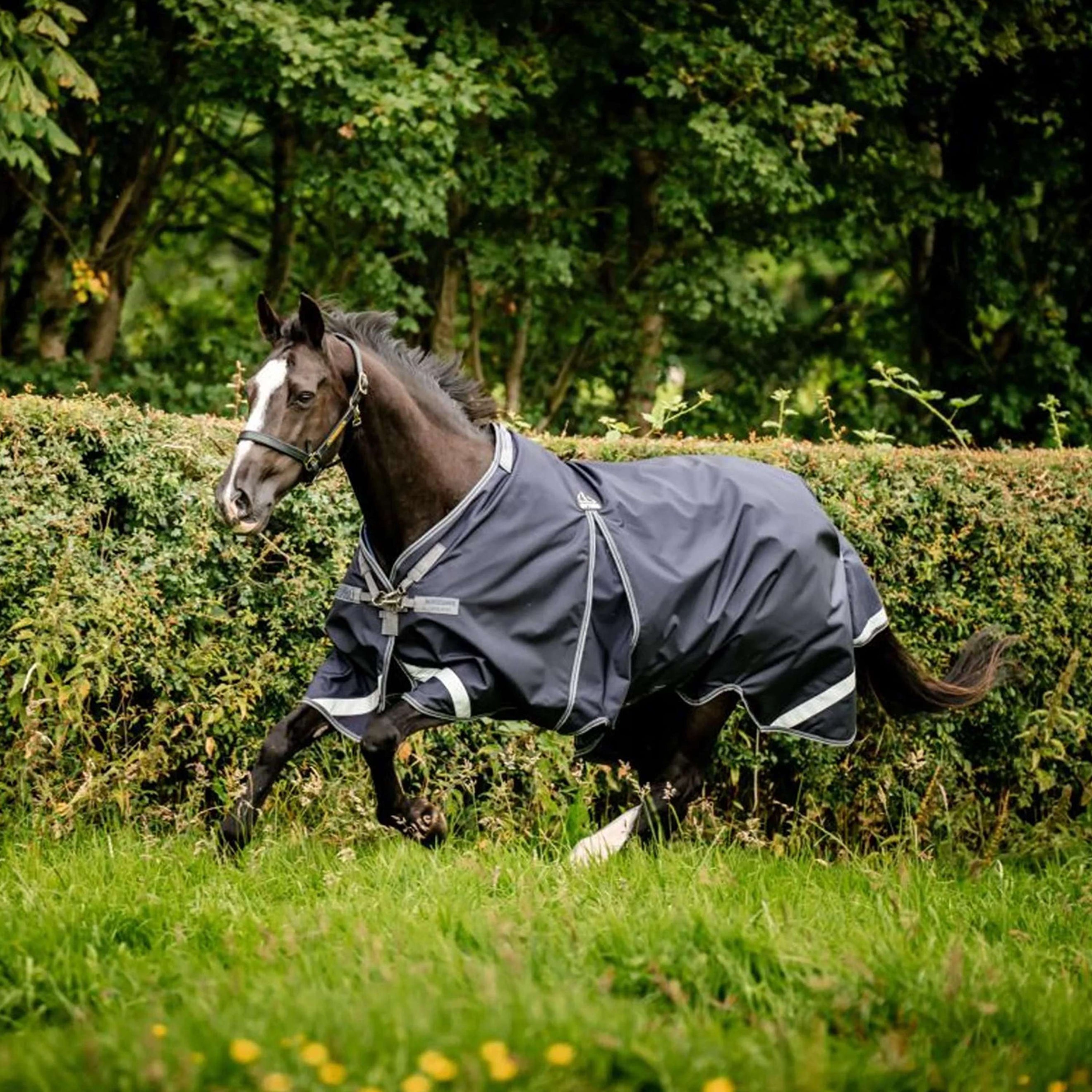 Rambo Optimo Original Turnout 0g Navy/Thunderstorm Grey Rambo Optimo Original Turnout 0g Navy/Thunderstorm Grey