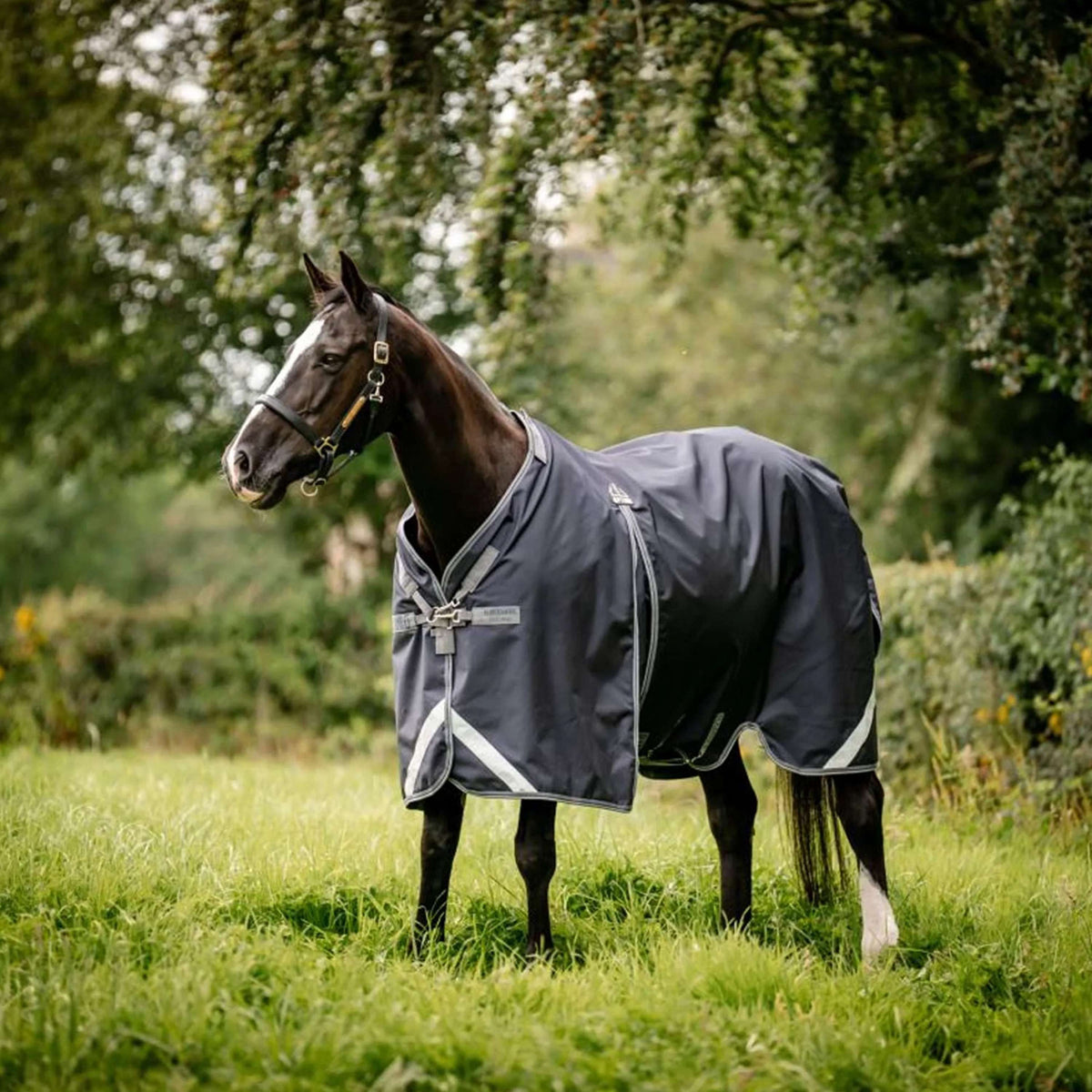 Rambo Optimo Original Turnout 0g Navy/Thunderstorm Grey