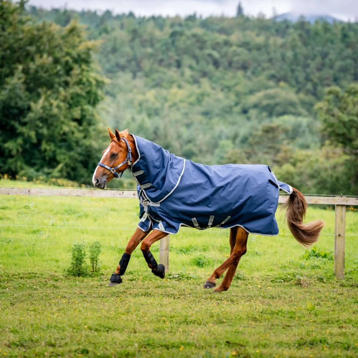 Amigo Bravo 12 Plus T/O Lite 0g Navy/Titanium Grey