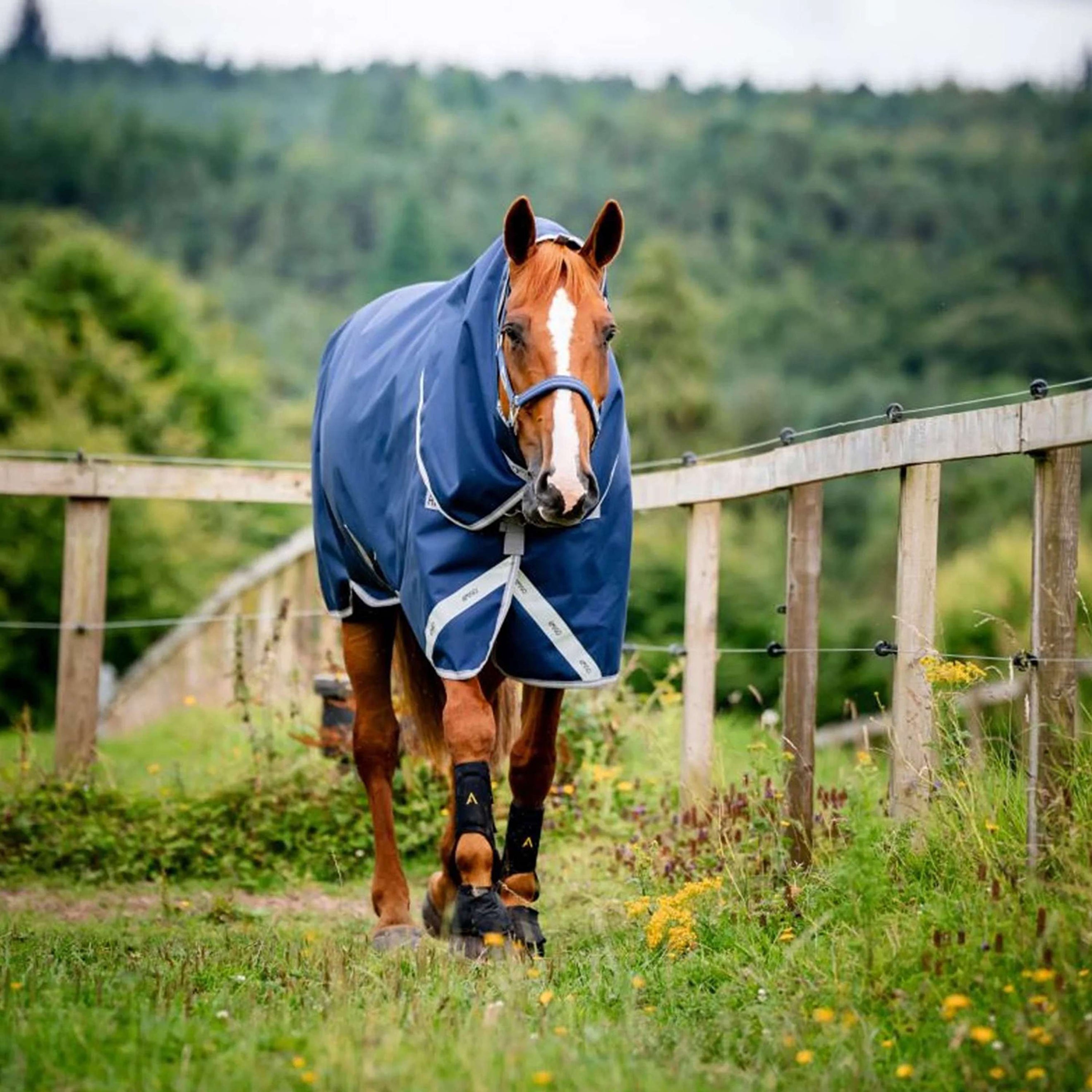 Amigo Bravo 12 Plus T/O Lite 0g Navy/Titanium Grey Amigo Bravo 12 Plus T/O Lite 0g Navy/Titanium Grey