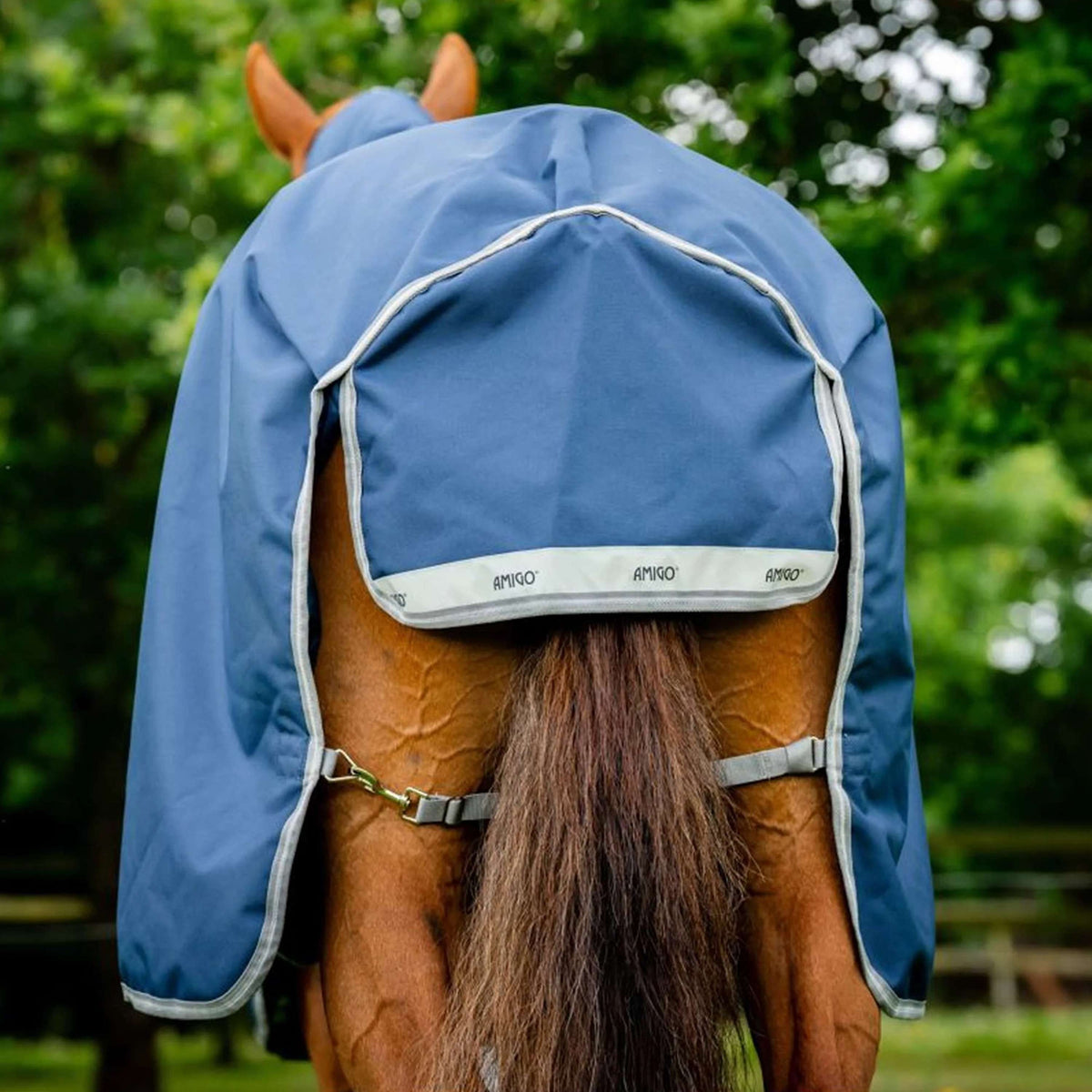 Amigo Bravo 12 Pony Plus Lite - Lowest price guarantee Amigo Bravo 12 Pony Plus Lite - Lowest price guarantee