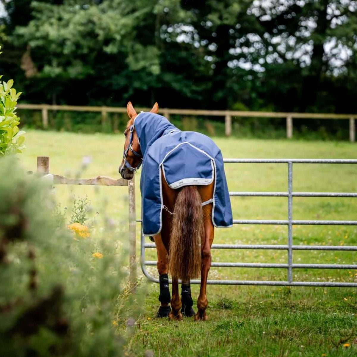 Amigo Bravo 12 Plus Bundle 50g Navy/Titanium Grey