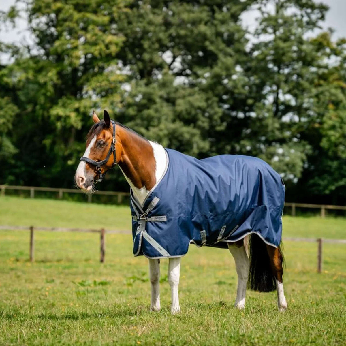 Amigo Bravo 12XL Original Turnout Lite 0g Navy/Titanium Grey