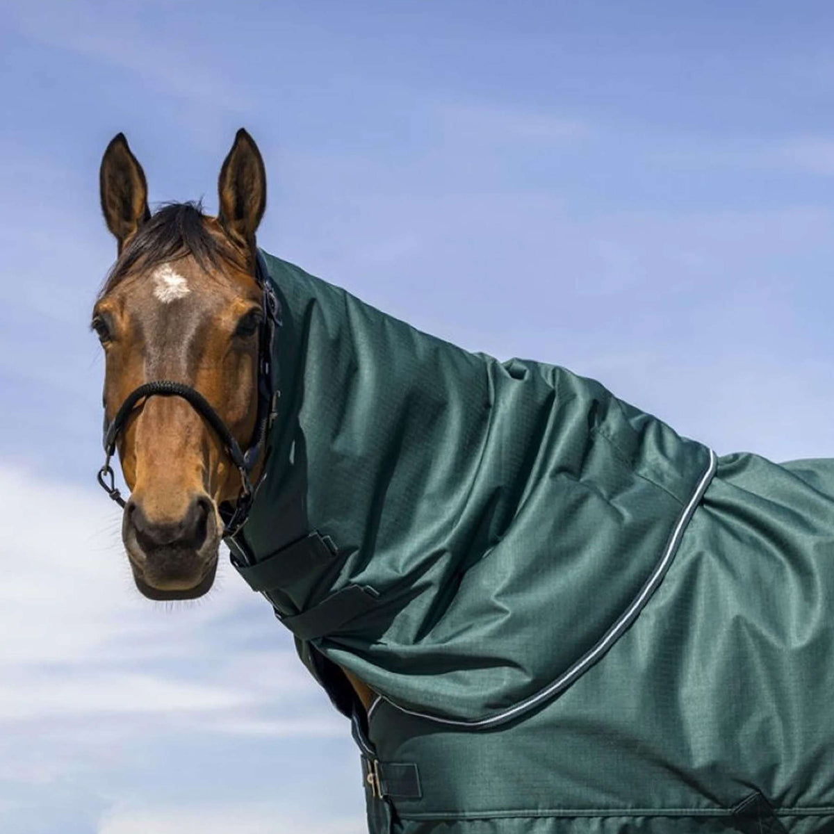 EQUITHÈME Couvre-Cou Tyrex 600D 0g Vert