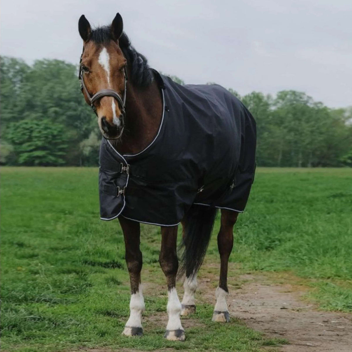 EQUITHÈME Couverture d'Extérieur Tyrex 600D Standard 300g Noir