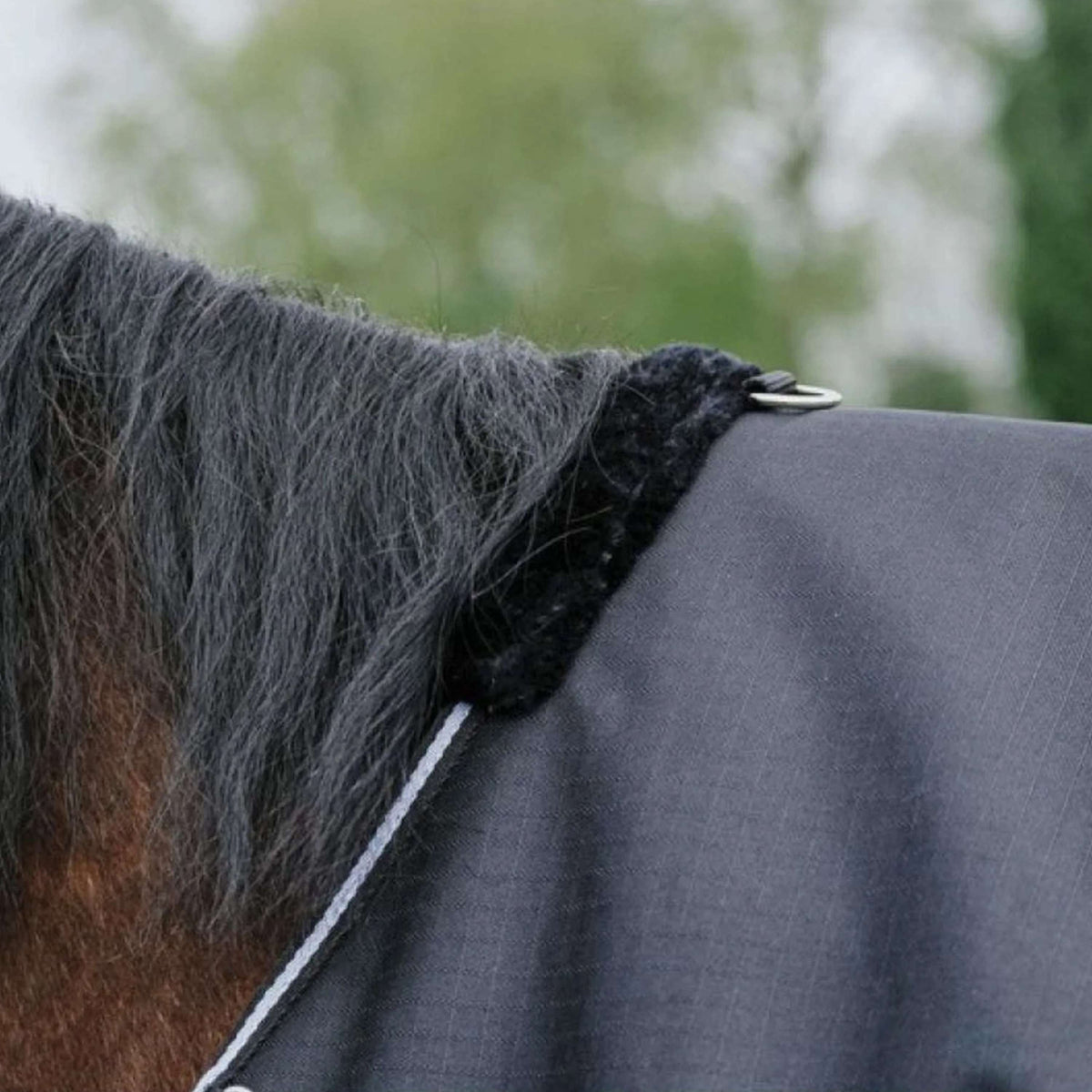 EQUITHÈME Couverture d'Extérieur Tyrex 600D Standard 300g Noir