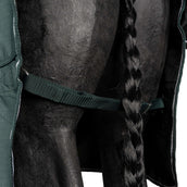 EQUITHÈME Couverture d'Extérieur Tyrex 600D Standard 300g Vert