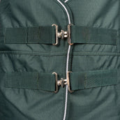 EQUITHÈME Couverture d'Extérieur Tyrex 600D Standard 300g Vert