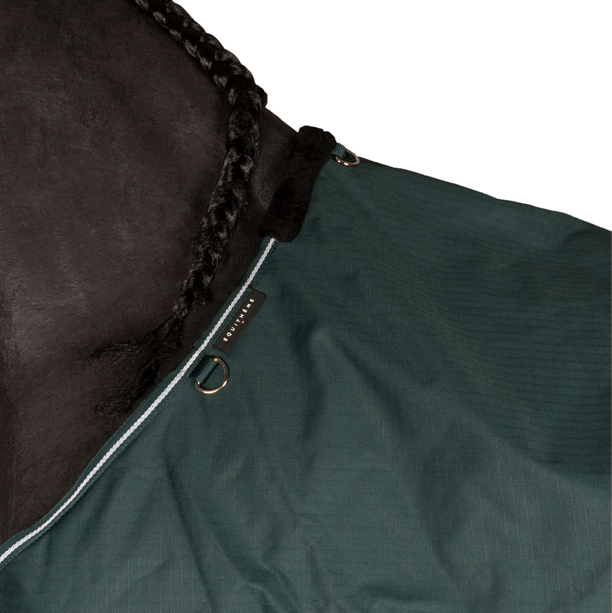 EQUITHÈME Couverture d'Extérieur Tyrex 600D Standard 300g Vert