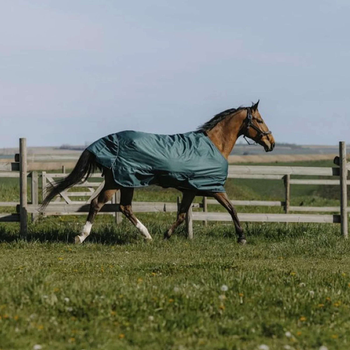 EQUITHÈME Couverture d'Extérieur Tyrex 600D Standard 300g Vert