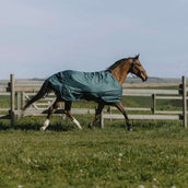 EQUITHÈME Couverture d'Extérieur Tyrex 600D Standard 300g Vert