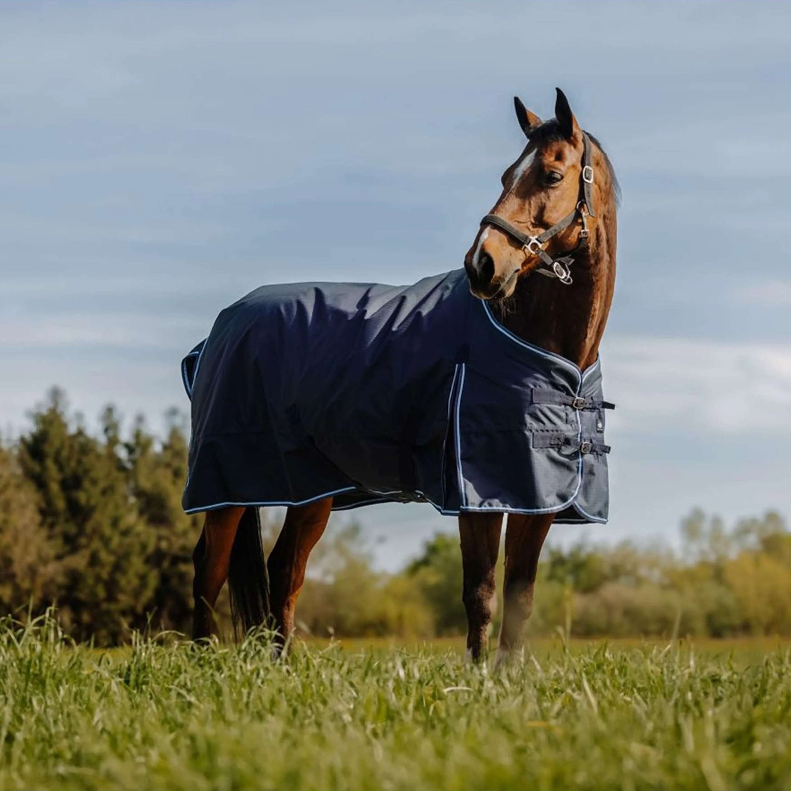 Riding World Couverture d'Extérieur Eco 600D 0g Marin