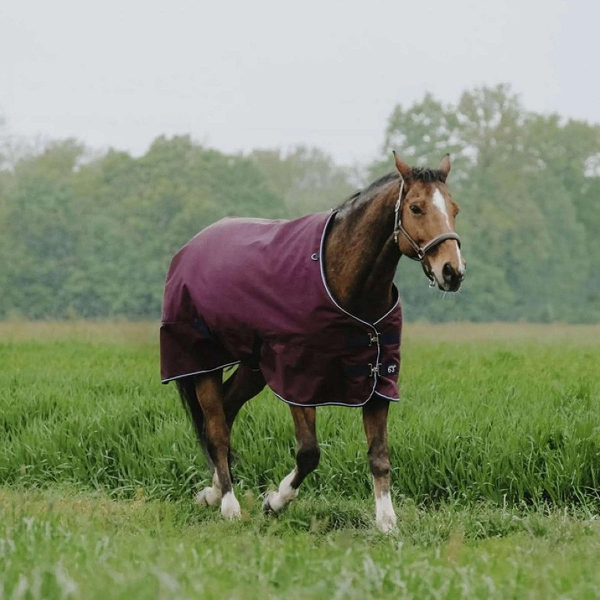 EQUITHÈME Couverture d'Extérieur Tyrex 1200D 150g Standard Bordeaux