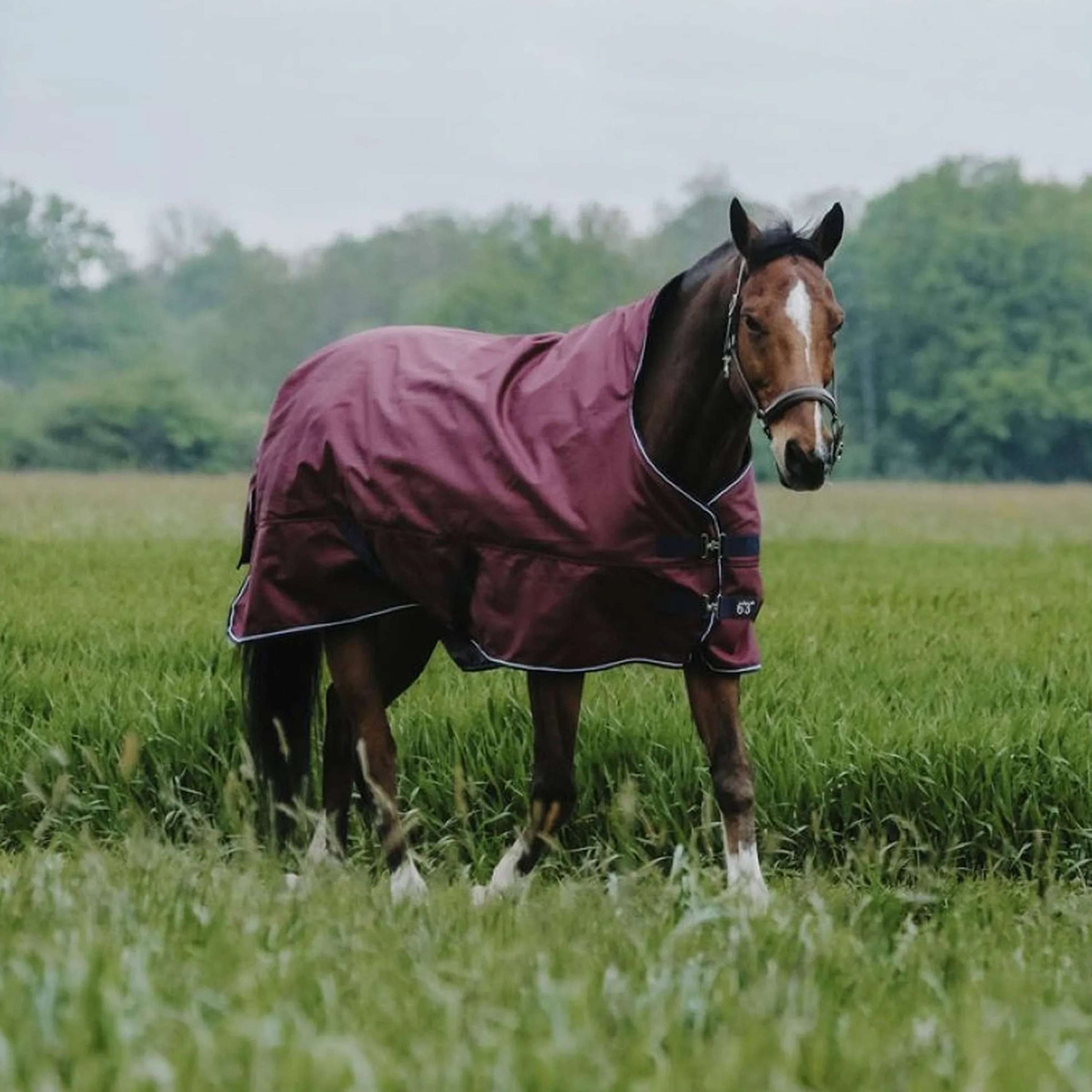 EQUITHÈME Couverture d'Extérieur Tyrex 1200D 0g High Neck Bordeaux