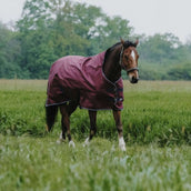 EQUITHÈME Couverture d'Extérieur Tyrex 1200D 0g High Neck Bordeaux