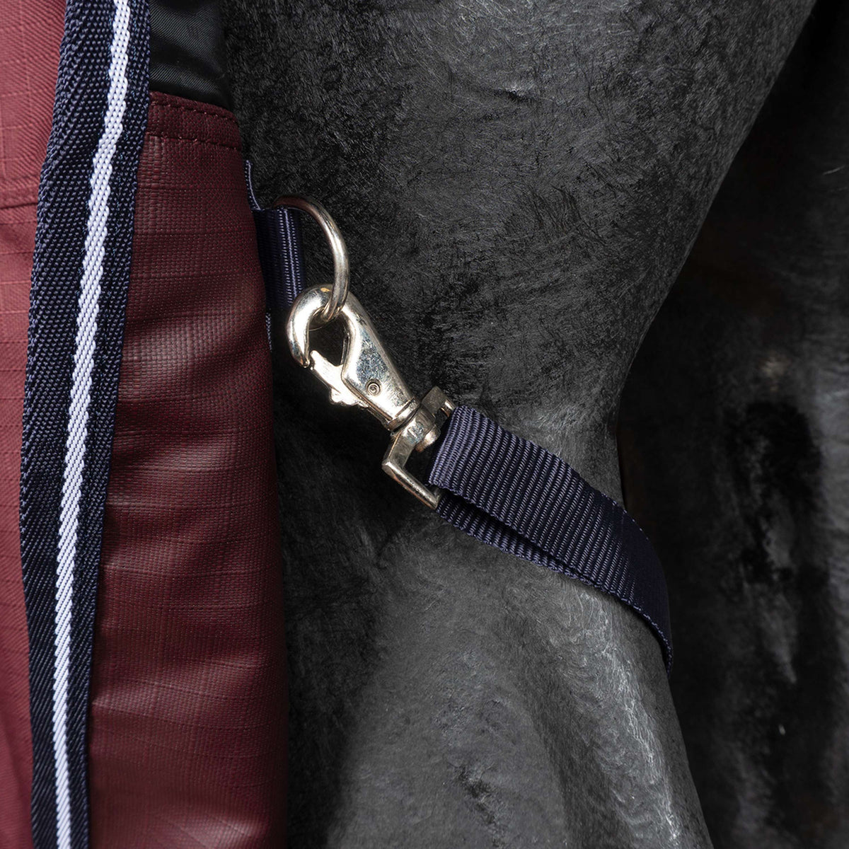 EQUITHÈME Couverture d'Extérieur Tyrex 1200D 0g High Neck Bordeaux