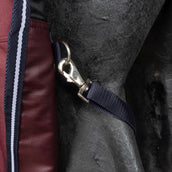 EQUITHÈME Couverture d'Extérieur Tyrex 1200D 0g High Neck Bordeaux
