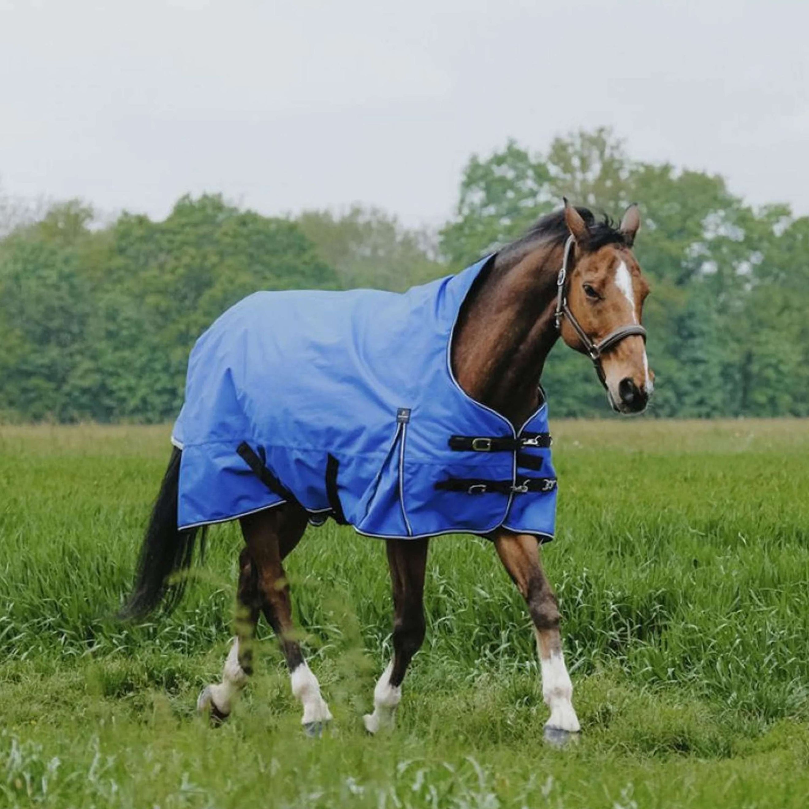 EQUITHÈME Couverture d'Extérieur Tyrex 1200D 50g Aisance High Neck Bleu Royal