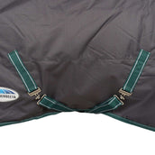 Weatherbeeta Couverture d'Hiver Comfitec Plus Dynamic II Detach-A-Neck Medium 220g Grey/Dark Green/White